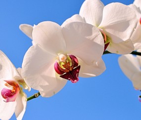 海淀正规助孕捐卵机构，附正规捐卵机构报名表！